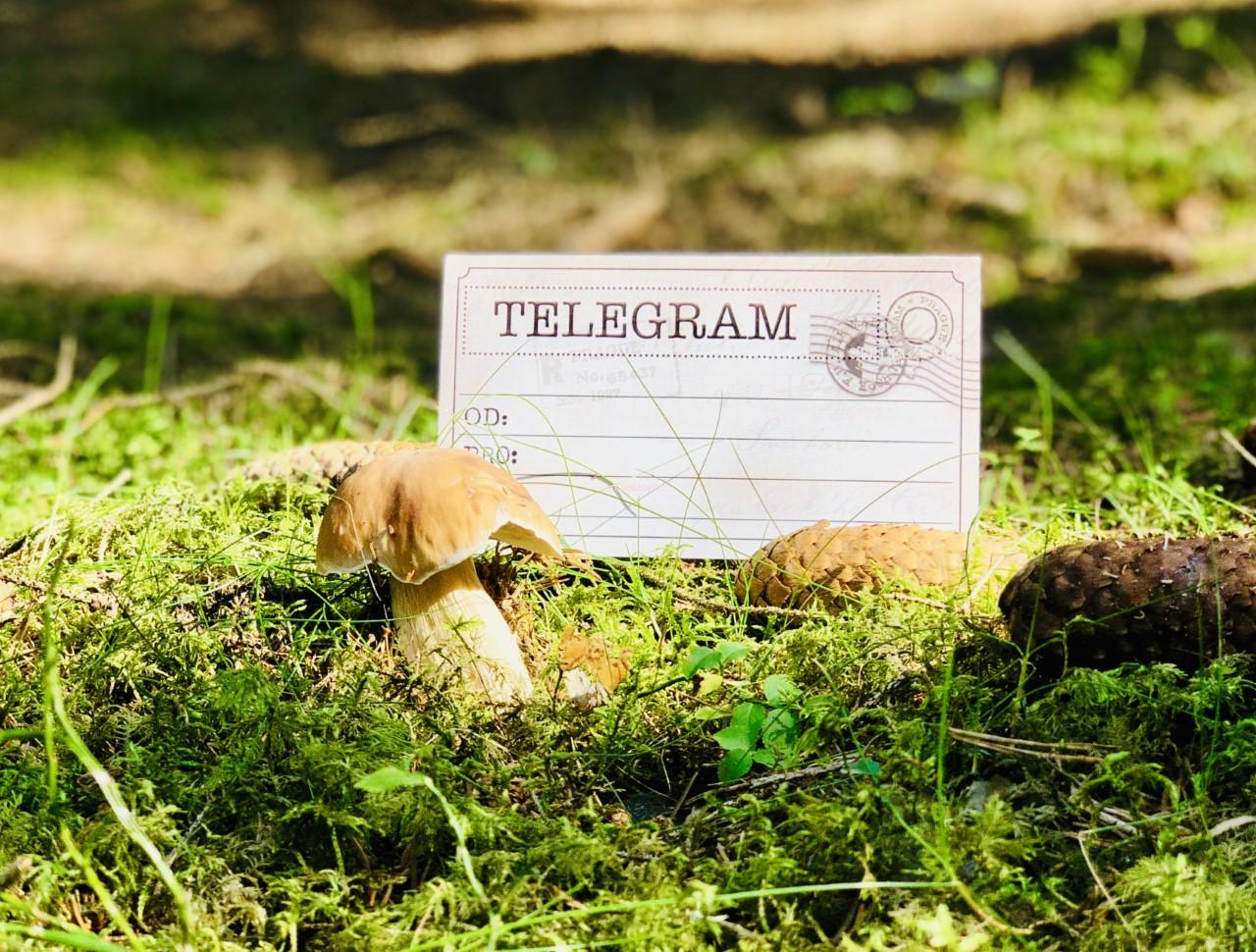Telegram - retro kolekce
